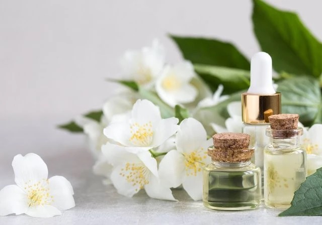 Jasmin: Kraljica bele cvetne elegancije