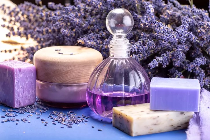 Lavanda: Klasična nota u novom svetlu